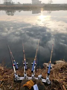 진위천 조황소식