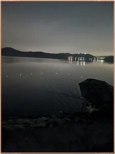 진위천 평택호 조황 