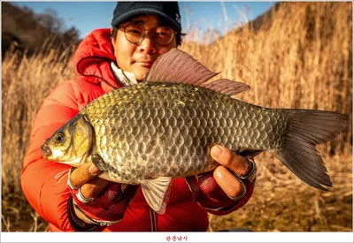 청풍호 노지 4 짜 대물..