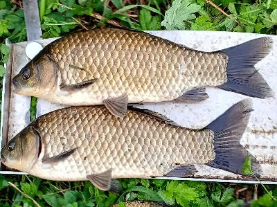 성큼 다가온 가을-10월 중순의 조황안내