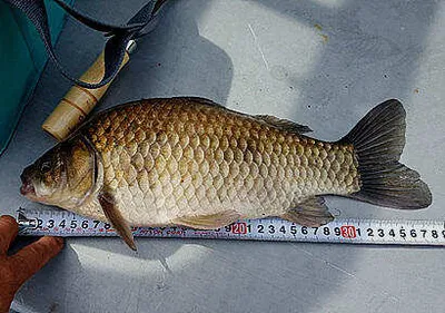 녹음의 계절 6월을 맞으면서