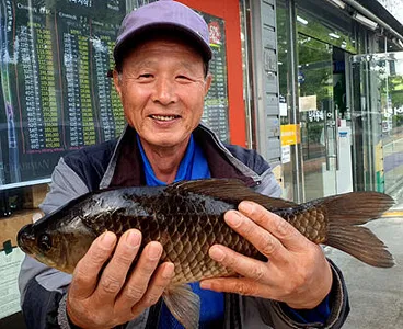 유월 중순에 드리는 조황안내 입니다.