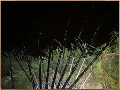 진위천 조황 소식