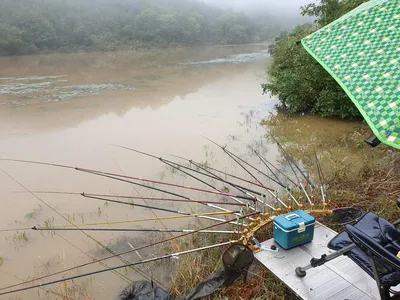 소류지 4짜(오늘아침 실시간조황)~~