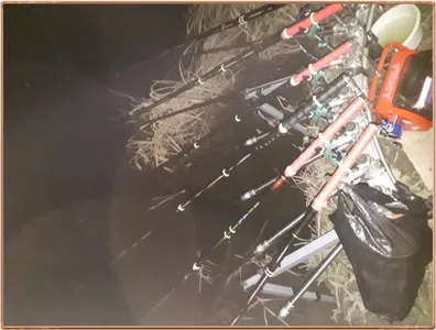 진위천 조황 소식