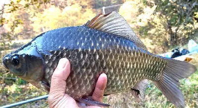 만추-화려한 계절의 조황안내 입니다.