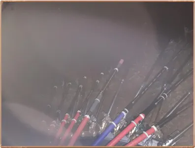 진위천 평택호 조황 