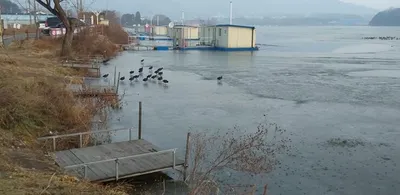 안흥수낚시 주변 낚시터들 현황