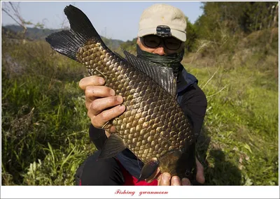 추평지 4 짜..화곡지 4 짜..칠성지 4 짜..목벌 마릿수 월척..