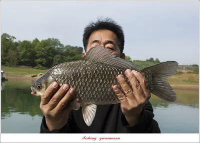 한버들 44 cm..40.5 cm..용원지 4 짜 대물 조황..