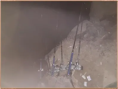 진위천 조황 소식