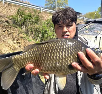 붕어의 계절-걸면 4짜