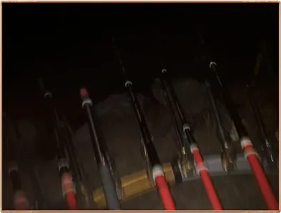 진위천 조황 소식