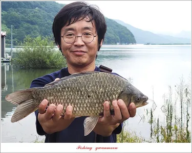 화곡지 4 짜....목벌 4 짜..한버들 4 짜..사오리 4 짜 대물 조황..