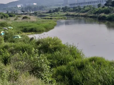 깡패들이 무서워요==청미천