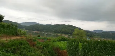 고삼지---배수 중단 이후 모습