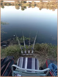 진위천 평택호 조황 