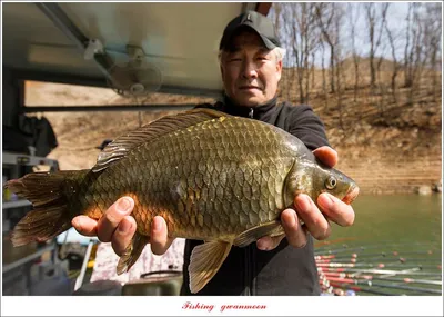 목벌 4 짜..화곡지 4 짜 조황..