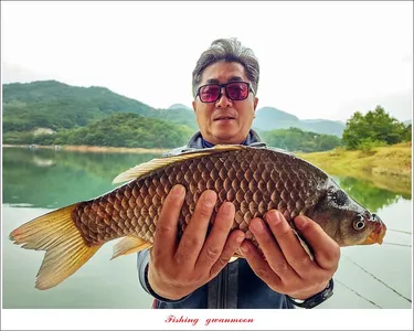 충주호 현황 및 화곡지 4 짜 조황..