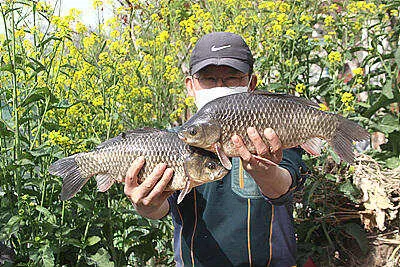 최고시즌의 황금 연휴를 앞둔 주말