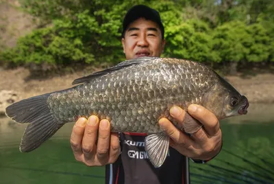 한버들 4 짜..달천강 월척..화곡지 대물 조황..