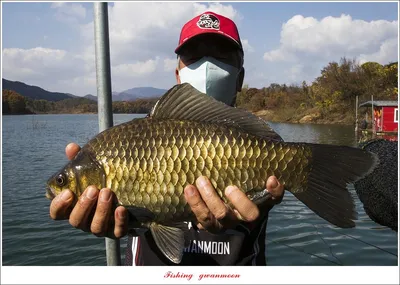돌감 4 짜 ..종점 낚시터..달천강 조황.. 