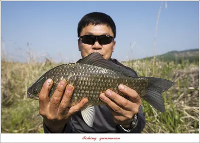 제일 4 짜..화곡지 4 짜..검단수로 4 짜..솔 친선 낚시 대회..