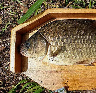 장마의 시작-비오기 직전 저수지 상황