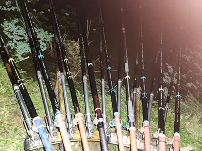 진위천 평택호 남양만 조황 소식