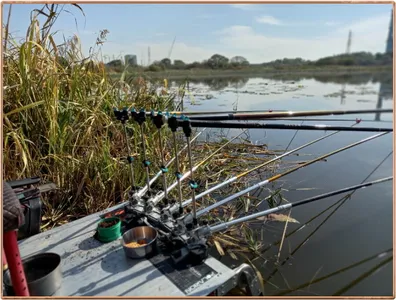 진위천 조황 소식