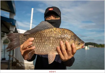 용원지..키다리 낚시터 조황..