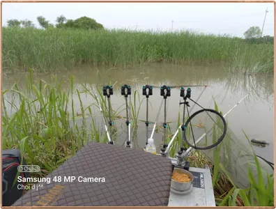 진위천 조황 소식