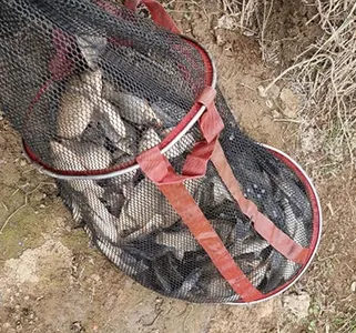 봄내음 가득한 저수지 모습