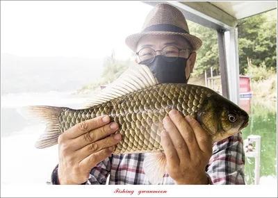 솔 43 cm..종점 39 cm..38 cm..칠성지 4 짜 대물 조황..