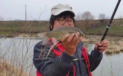 무료터---청미천 소식(생새우 판매중)