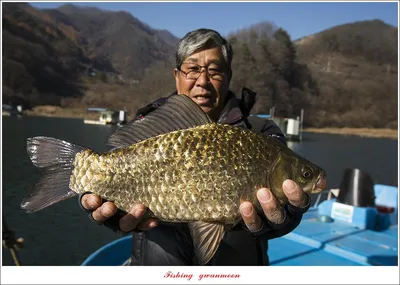 사오리  41 cm 대물 및 솔 월척 조황..