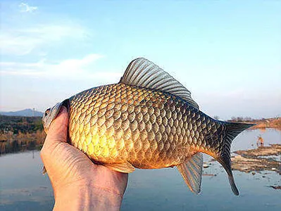 봄꽃향기그윽한 3월 마지막주 조황안내 