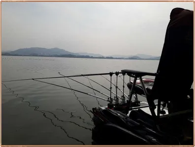 진위천 조황 소식