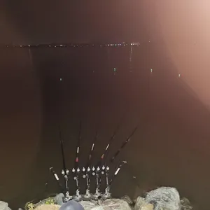 평택호 진위천 조황 소식