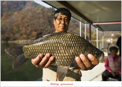 사오리 4 짜 대물 조황..