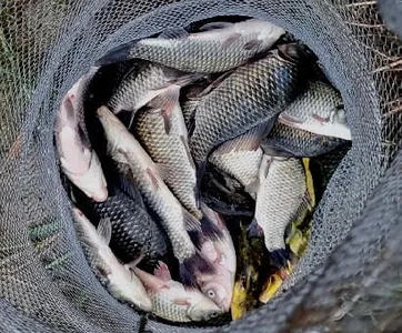 가을 시즌을 여는 9월의 조황안내 입니다.