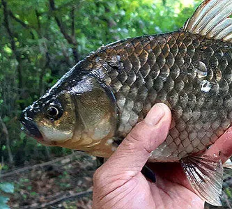장마끝자락-만수위의 저수지를 둘러 보면서