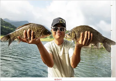 키다리 4 짜 대물 조황..