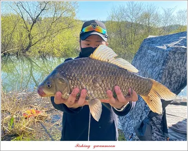 칠성지 46.5 cm..화곡지 사짜 대물 조황..