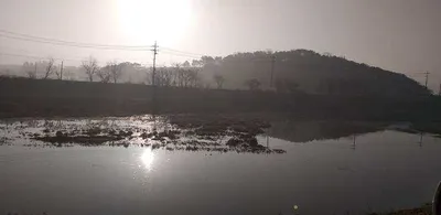 무료터-청미천-붕어 나오기 시작합니다