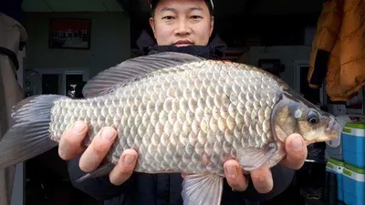 4짜를 비롯한 대물들-고삼지