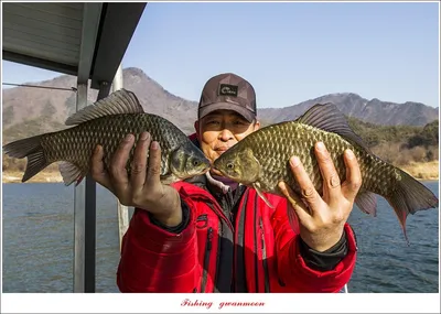 솔 월척..한버들 월척 조황..