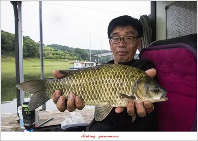 제일 4 짜 2 수..돌감 4 짜..목벌 4 짜 조황..