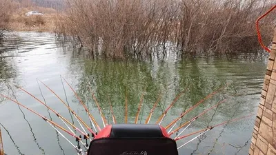 고삼지===드디어 입질 시동