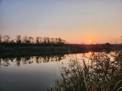 남양호 평택호 조황 소식